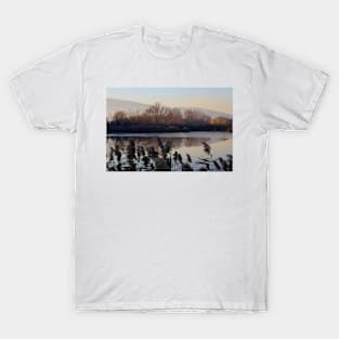 A cold day T-Shirt